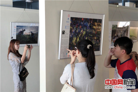 “茶的味道”圖片漂流展在北京舉行