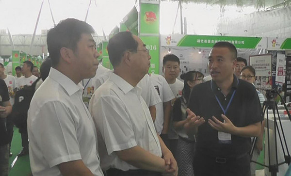 哈爾濱創(chuàng)業(yè)創(chuàng)新博覽會(huì)冰城網(wǎng)受關(guān)注(圖4)