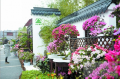 22個(gè)城市的微型景觀(guān)將亮相杜鵑花展