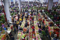 第十二屆昆明國際農(nóng)業(yè)博覽會(huì)